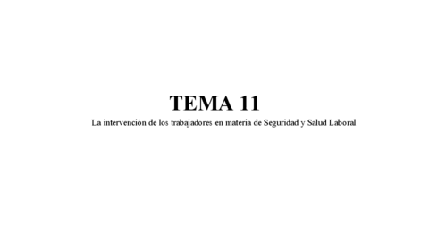 Tema-11-seguridad-y-salud-laboral.pdf