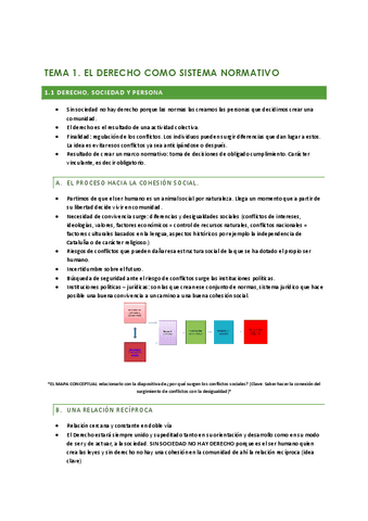 TEMA-1.-INTRODUCCION-AL-DERECHO.pdf