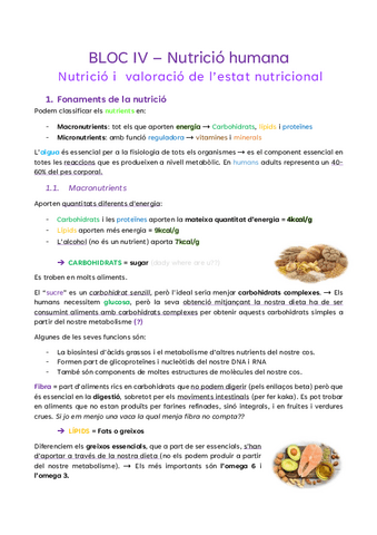 BLOC-IV-Nutricio-humana-1.pdf