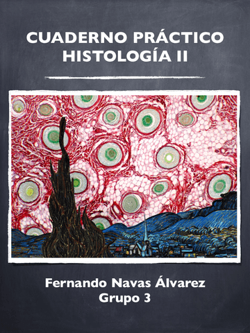 Fernando-Navas-Alvarez-Cuaderno-Practicas.pdf