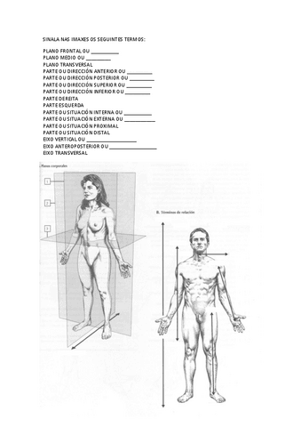 ta1planoseixosdireccions.pdf