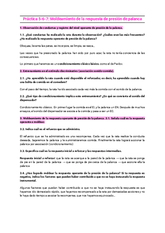 practicas-aprendizaje-5-7.pdf