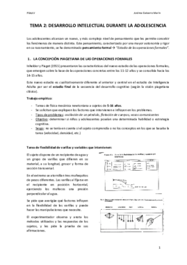 TEMA 2 DAAV.pdf