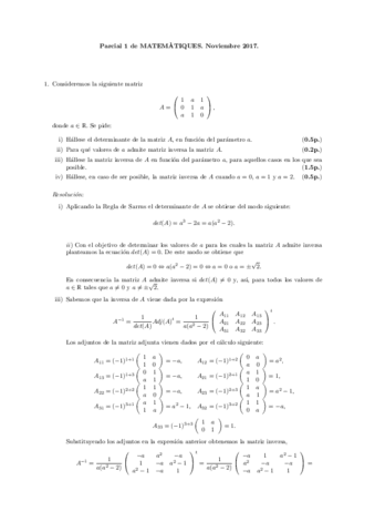 P1a.pdf