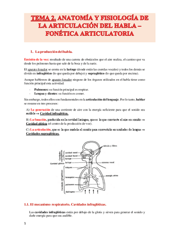TEMA-2.pdf