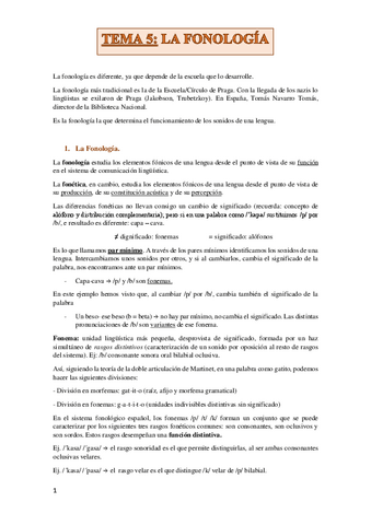 TEMA-5.pdf