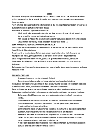 4.-MINA.pdf