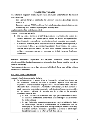 2.1.-ESPARRU-PROFESIONALA.pdf
