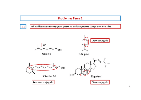 Problemas-resueltos-Tema-1-ISABEL.pdf