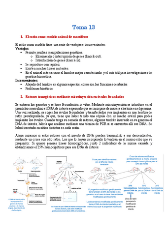 Tema-13-Generacion-de-ratones-knock-out-y-ratones-transgenicos.pdf