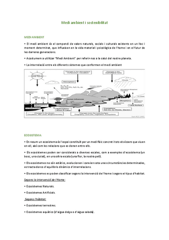 Teoria-de-la-asignatura.pdf