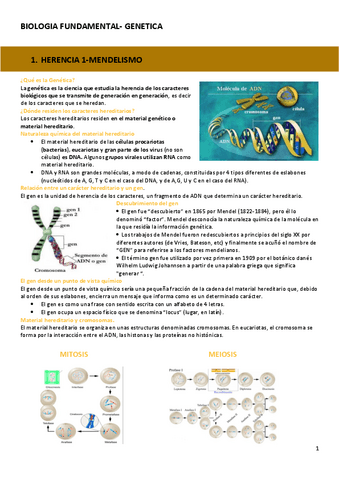 GENETICA.pdf