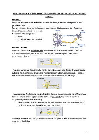 4.-NERBIO-EHUNA.pdf