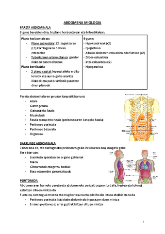 2.-ABDOMENA.pdf