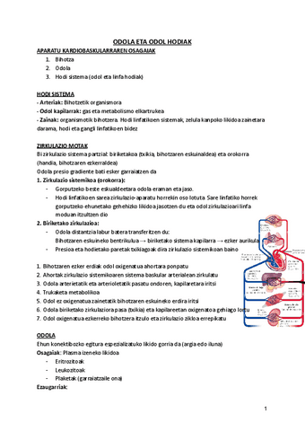 ODOLA-ODOL-HODIAK-ETA-BURTSAK.pdf