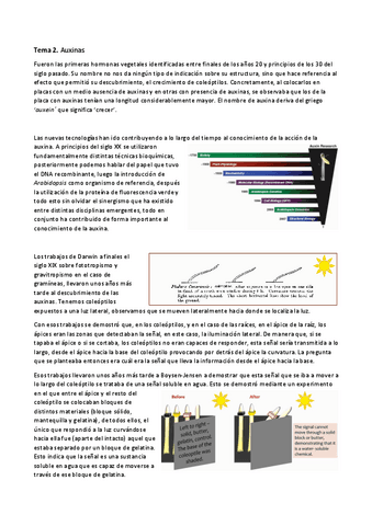 Tema-2.-Auxinas.pdf