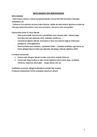 4.-DATU-BASEAK-ETA-KODIFIKAZIOA.pdf
