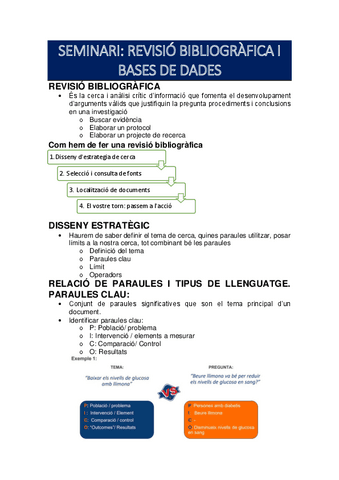 Apunts-Seminari-TIC.pdf