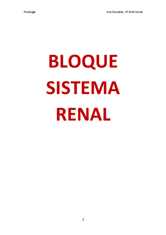 Bloque-Sistema-Renal.pdf