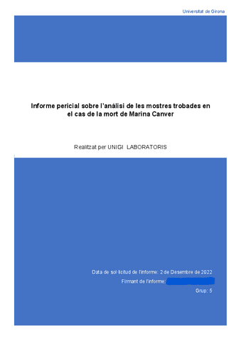 TCI2-Informe-cas-2-portada-index-antecedents-i-mostres.pdf