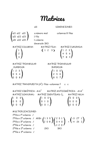 Matrices.pdf