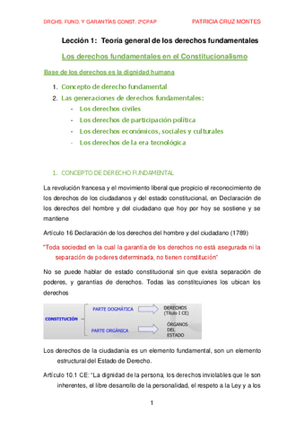 tema-1-DERECHOS-FUNDAMENTALES-Y-GARANTIAS-CONSTITUCIONALES.pdf