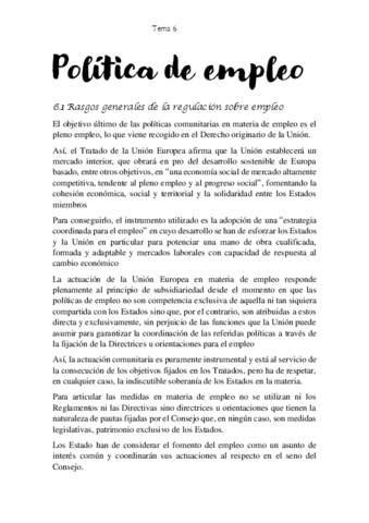 TEMA-6-dereco-seguridad-union-europea.pdf