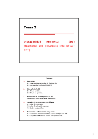 TEMA-3.-Discapacidad-intelectualv2.pdf