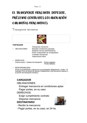 Diapositivas-tema-12-derecho-mercantil.pdf