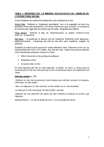 apunts-estructura-social-acabats.pdf