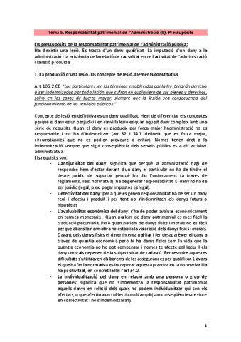 ACCIO-ADMINSTRATIVA.pdf