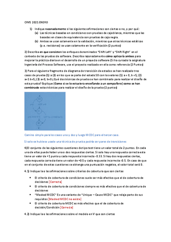 CVVS-2021-ENERO.pdf