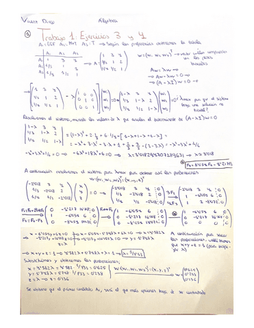 Trabajo-Academico-Metodos-Matematicos-I.pdf