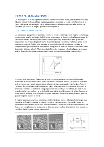 TEMA 9.pdf