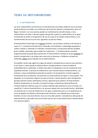 TEMA 10.pdf