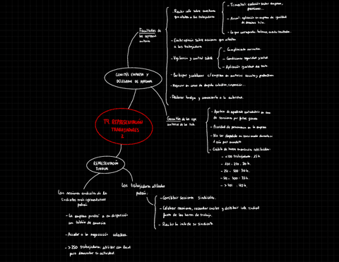 Resumen-T9.2.-Representacion-Trabajadores.pdf