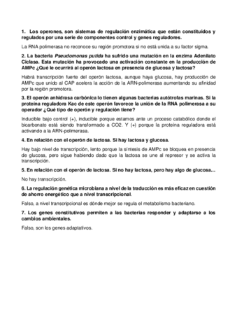 AUTOEVALUACION-TEMA-5.pdf