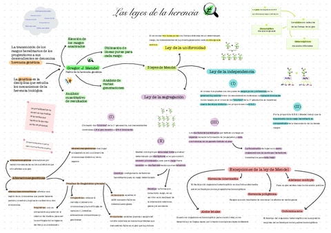Herencia-Genetica-Biologia.pdf