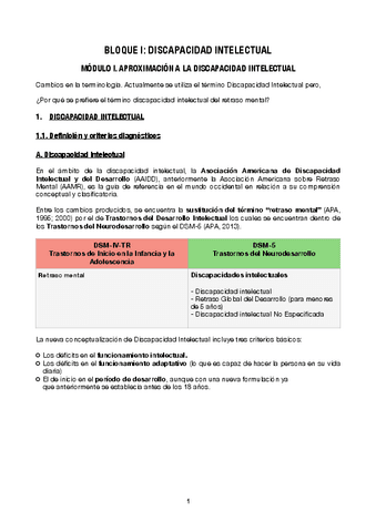 APUNTES-DISCAPACIDAD-INTELECTUAL.pdf