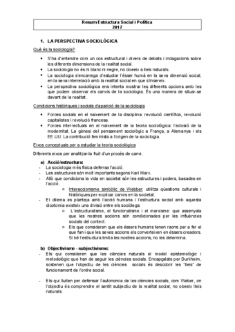 Resumestructurasocialipolitica.pdf.pdf