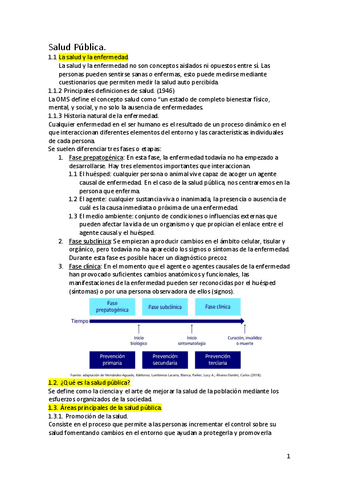 Salud-Publica..pdf
