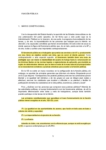 TEMA-5-Derecho-Administrativo-II.doc.pdf