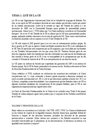 TEMA-1-DIP.pdf