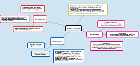 El-sistema-inmunologico.png