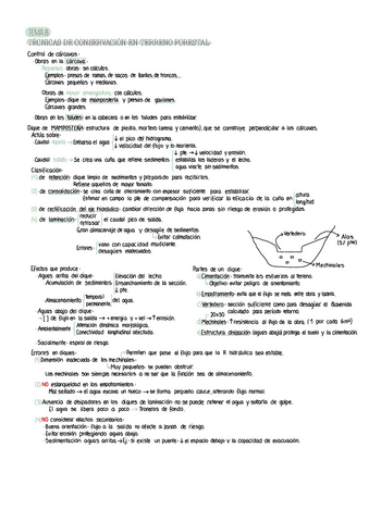 Apuntes-parcial-2-suelos.pdf