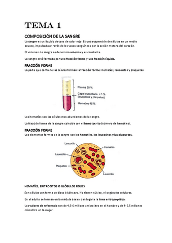 TEMA-1.-LA-SANGRE.pdf