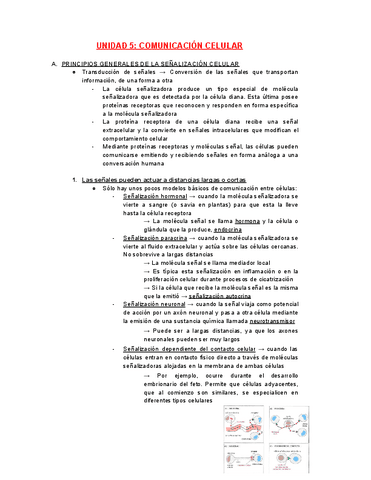 APUNTES-TEMA-5.pdf