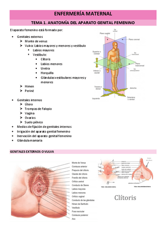 TEMA-1.pdf