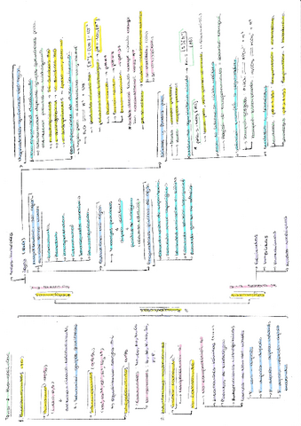 BIOQUIMICA-TEMA-1-BIOMOLECULAS.pdf