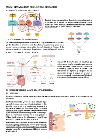 BIOQUIMICA-TEMA-9-METABOLISMO-DE-GLUCIDOS.-GLUCOLISIS.pdf